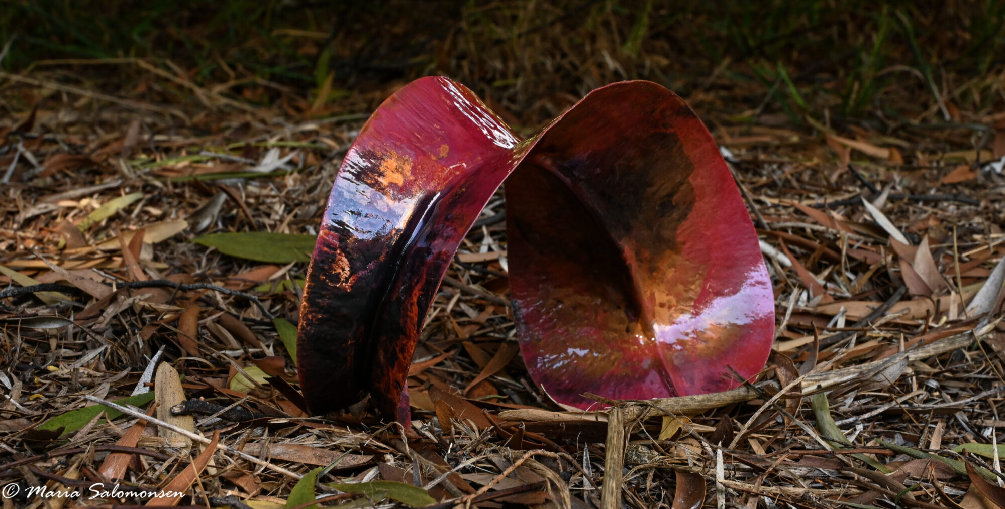 Dancing in the wind – Fold formed copper leaf shapes.